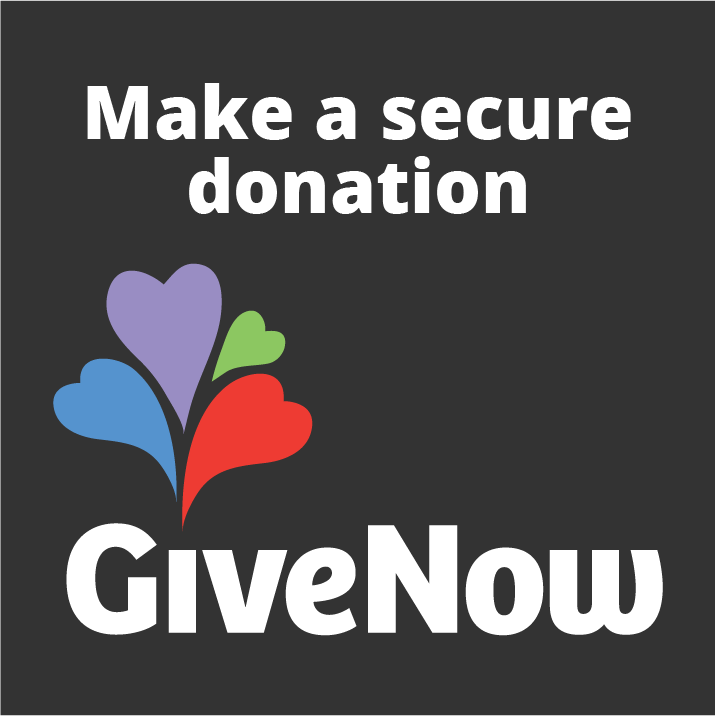 GiveNow logo